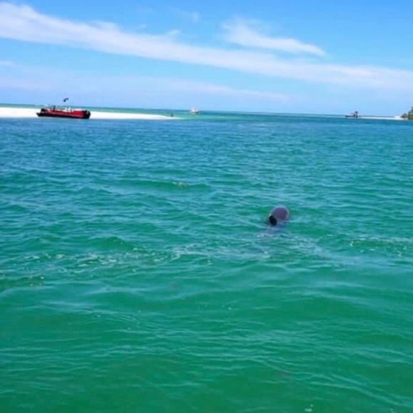 Meet your Posher, Kristina - Picture 10 of 11